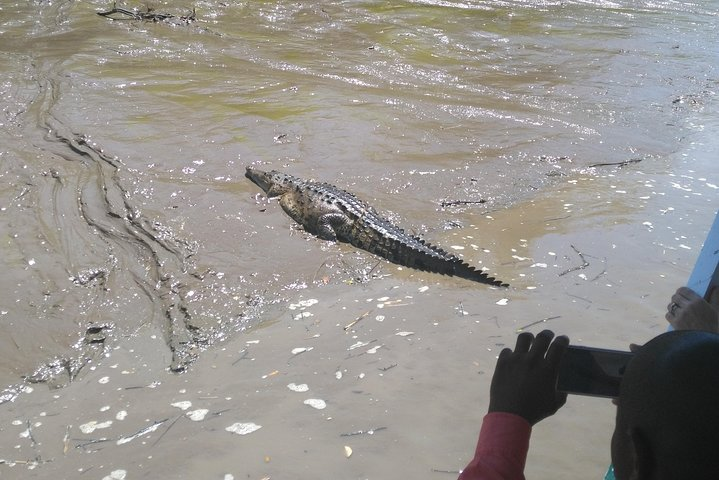 Wildlife river boat safari & Cultural experience. - Photo 1 of 18